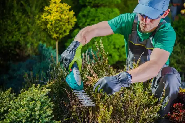 landscaping services Lexington